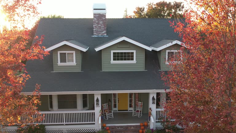 Best Chimney Flashing Repair  in Salineville, OH