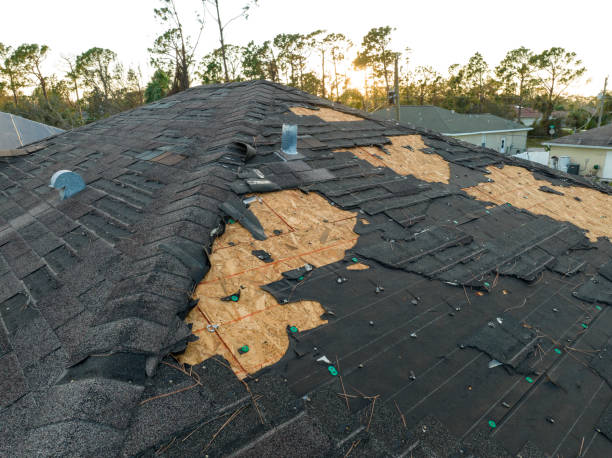 Best Skylight Installation and Repair  in Salineville, OH